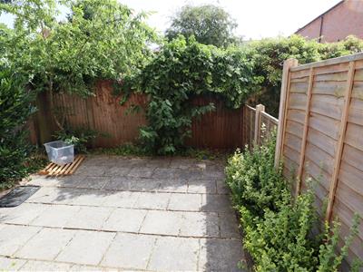 Picture 10
